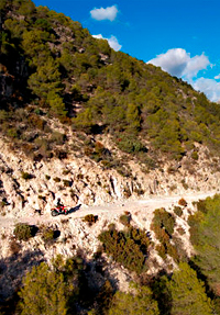GALERIA 9